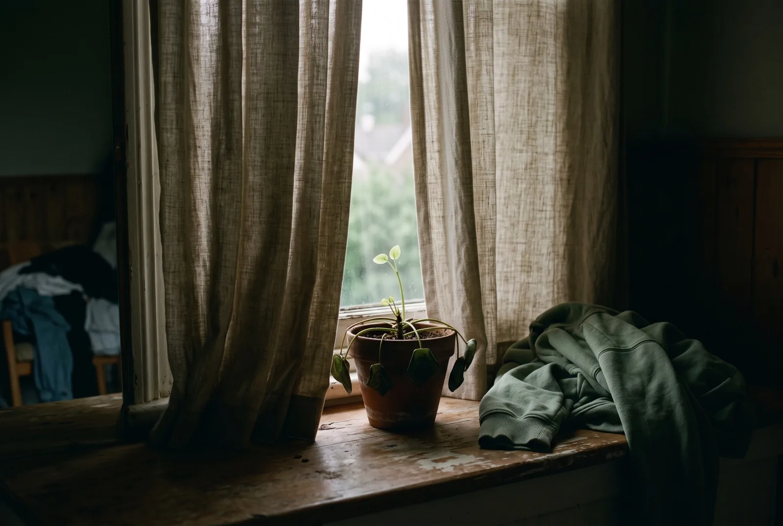Dans une chambre sombre, des rideaux de lin presque fermés laissent passer un mince filet de jour ; sur le rebord de la fenêtre, une plante aux feuilles tombantes dans un pot en terre cuite tend une seule jeune pousse vers la lumière, à côté d’un sweat vert sauge jeté là.